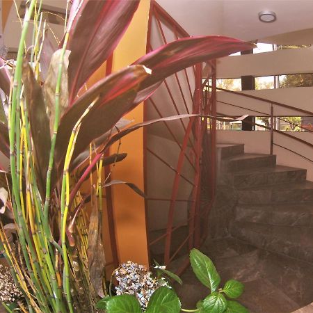 Hotel Jard Inn Adult Only Città del Messico Esterno foto